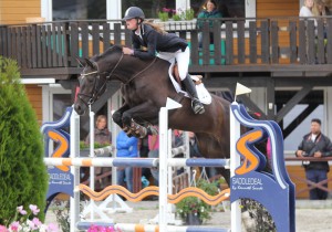 S.E. Miss Pogany / Diarado / Corland / Camilla Viken / Norsk Breeders Trophy / Arendal / NBT / Norsk Varmblod / Stutteri Eken