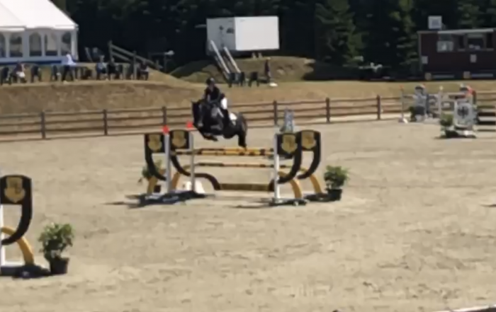 Bækgaarden Horse Festival / S.E. Estelle / Favorit Ask / Crelido / Corland / Sandra Corell / Bækgården Horse Festival 2019 / Stutteri Eken