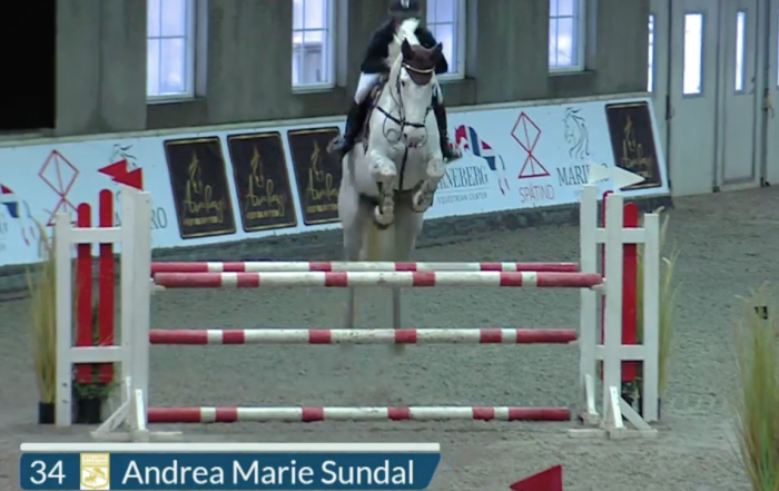 S.E. Chanel / Cristallo II / Corland / Andrea Sundal / Norsk Varmblod