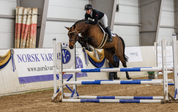 15032024 Jamne Design Norsk Varmblod Hingstekaring KAT09 SE Kazando Starum ABJ 7922 2048px